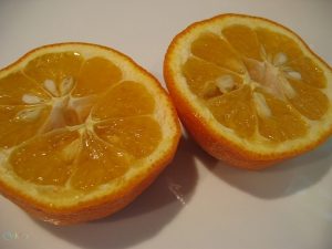 عکس نارنج