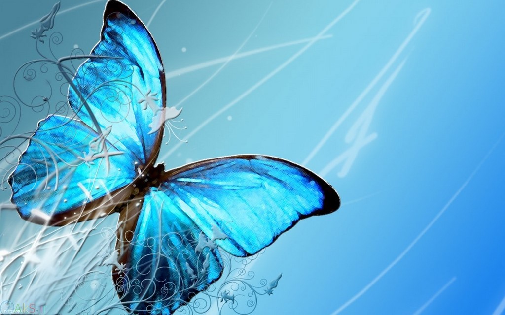 پروانه آبی